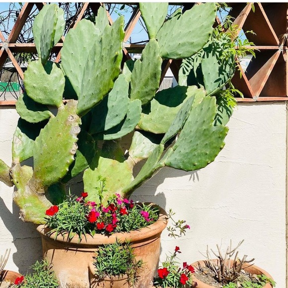 ππ΅Meet your Posher, Alaina - Picture 7 of 10